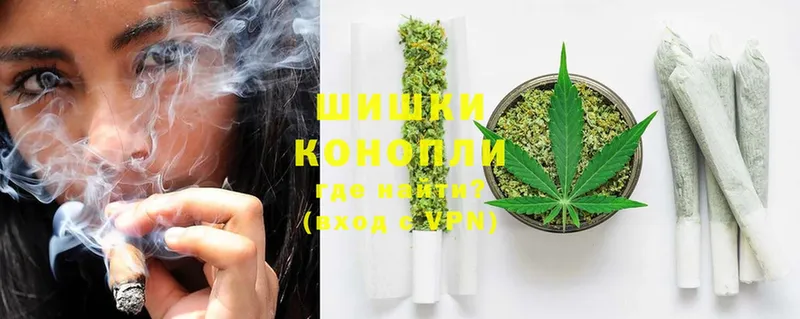 Канабис OG Kush  Заполярный 